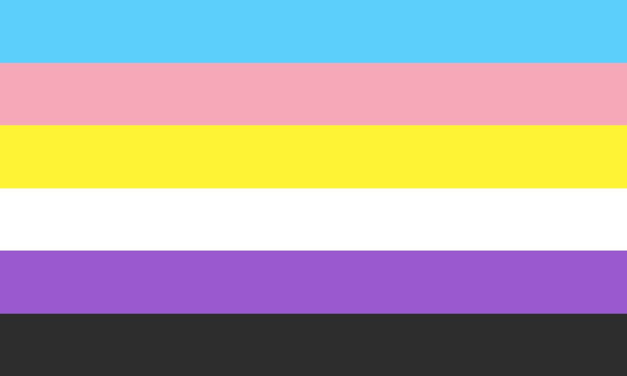trans-nb-flag.jpg