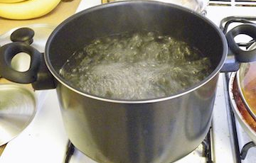 boil water FAQs