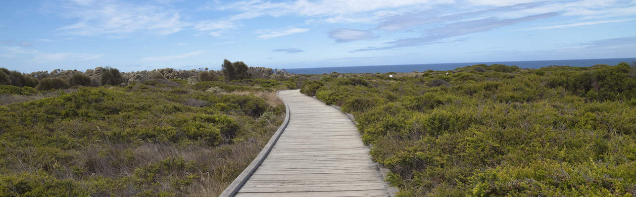 Health Services for Community Living