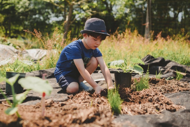 boy in garden