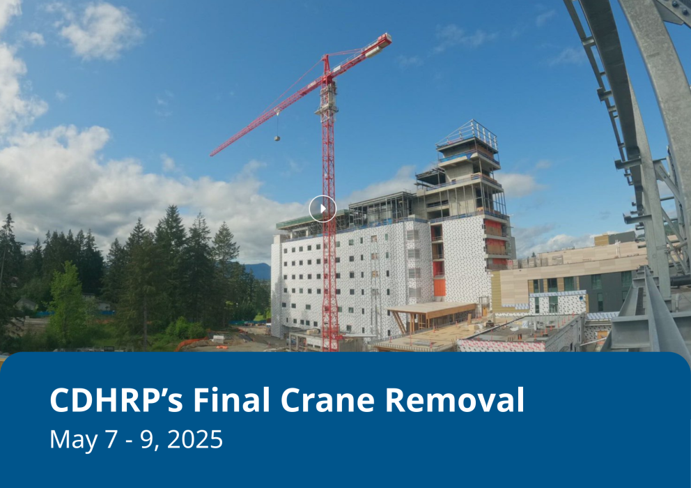 crane_tl_thumnail.png