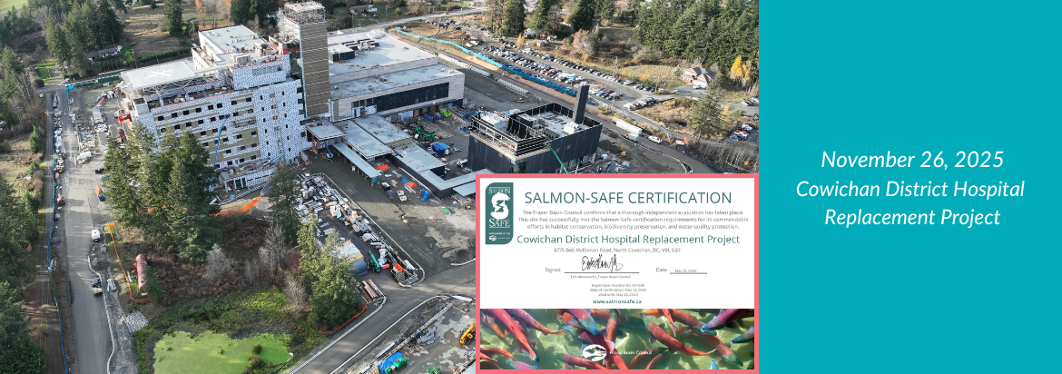 Nov26_2025_pow (1).png