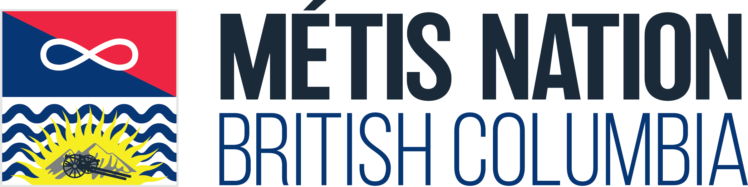 metis-nation-logo.png