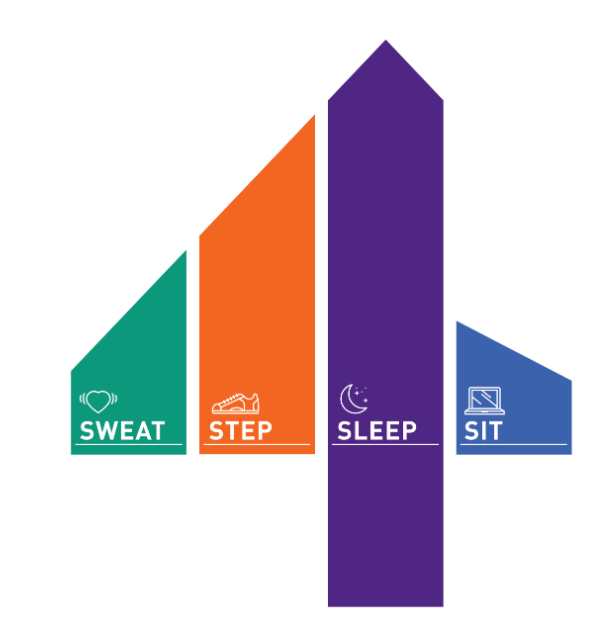 Graphic representing "Sweat, Step, Sleep & Sit" movement for a healthy 24 hours from CSEP.