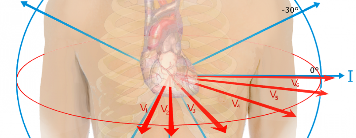 electrocardiogram 