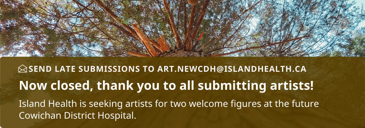 Welcome Figure proposals now closed, thank you to all submitting artists!