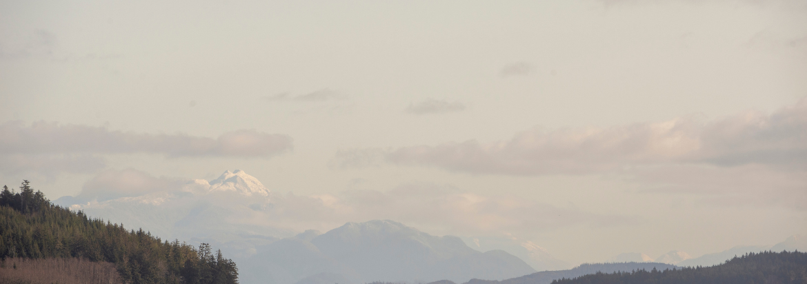 north island mountains and ocean