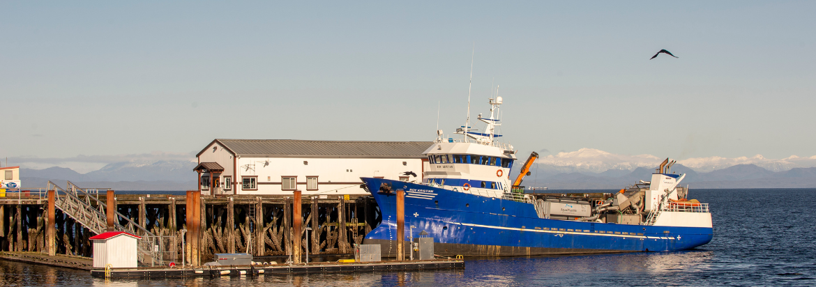 blue boat in harbour