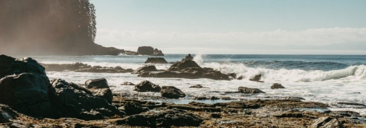 ocean waves crashing into rocks