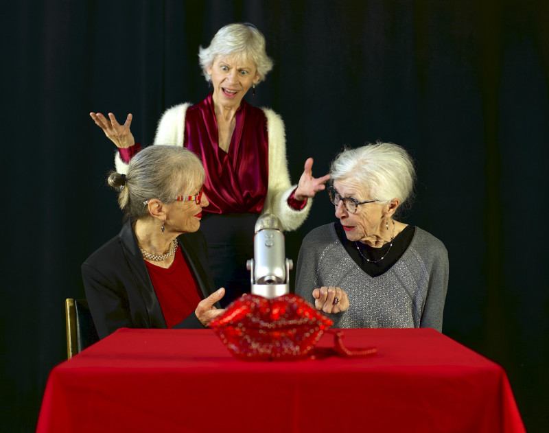 community wellness grant seniors sexual health play