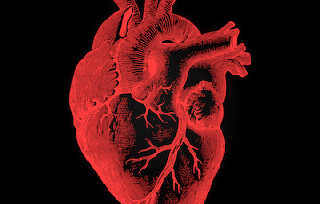 heart image