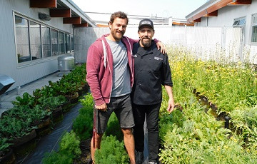 Island Health Community Wellness Grant planted seeds of growth for Songhees rooftop gardens