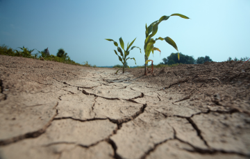Drought