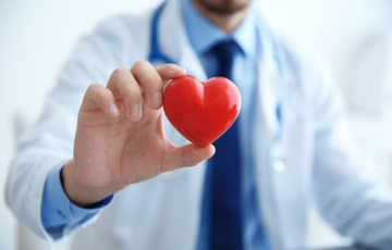 hand holding a plastic red heart