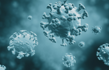 flu bacteria