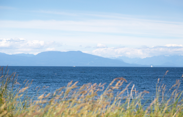 Nanaimo Kidney Care and Transplant Clinic