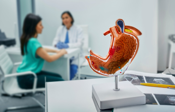 female patient sitting at a desk talking to health care provider while model of stomach is in foreground