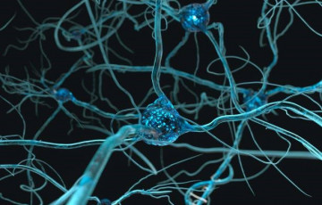 Clinical Neurophysiology 