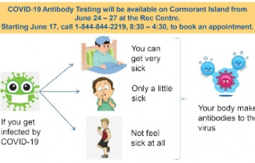 cartoon depicting antibody creation