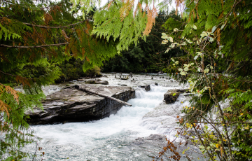 Nymph falls in Cumberland, BC