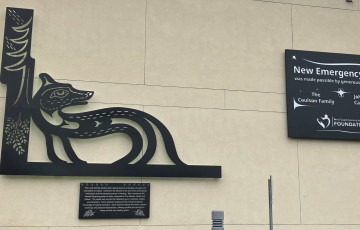 Lone wolf art display