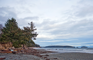 Port Hardy beach