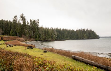 water with greenery surrounding and forest in the distance