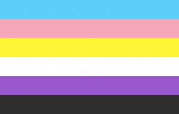 trans non binary flag