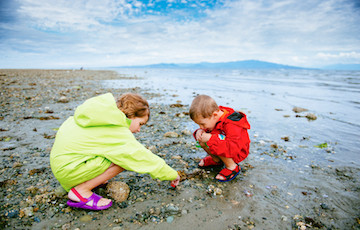 two little children examining rocks on a beach